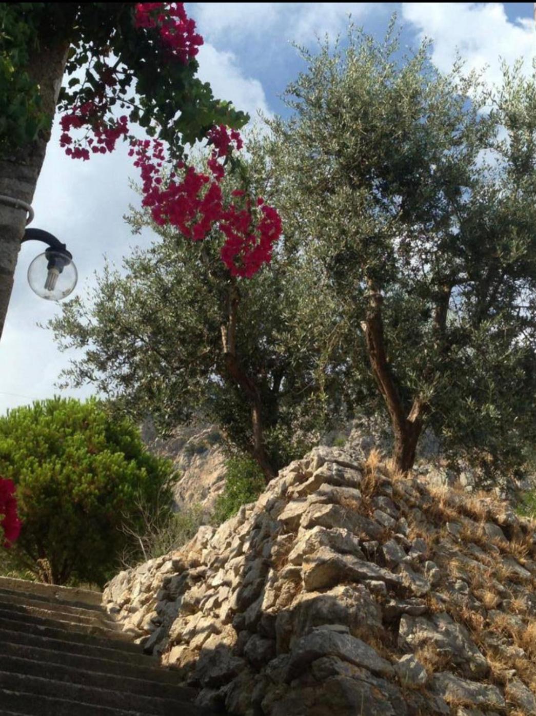 Casa Njulinella Villa Фуроре Екстериор снимка